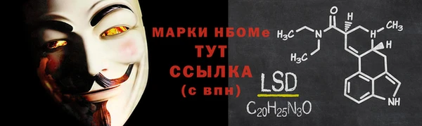 соль ск Новодвинск