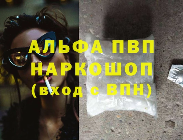 стафф Новозыбков