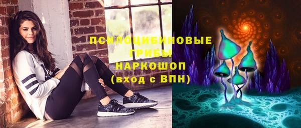 соль ск Новодвинск