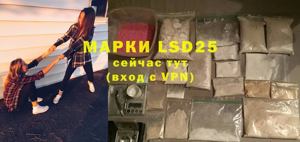 стафф Новозыбков