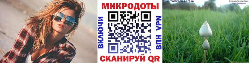 KRAKEN маркетплейс  Кудымкар  Псилоцибиновые грибы Magic Shrooms 